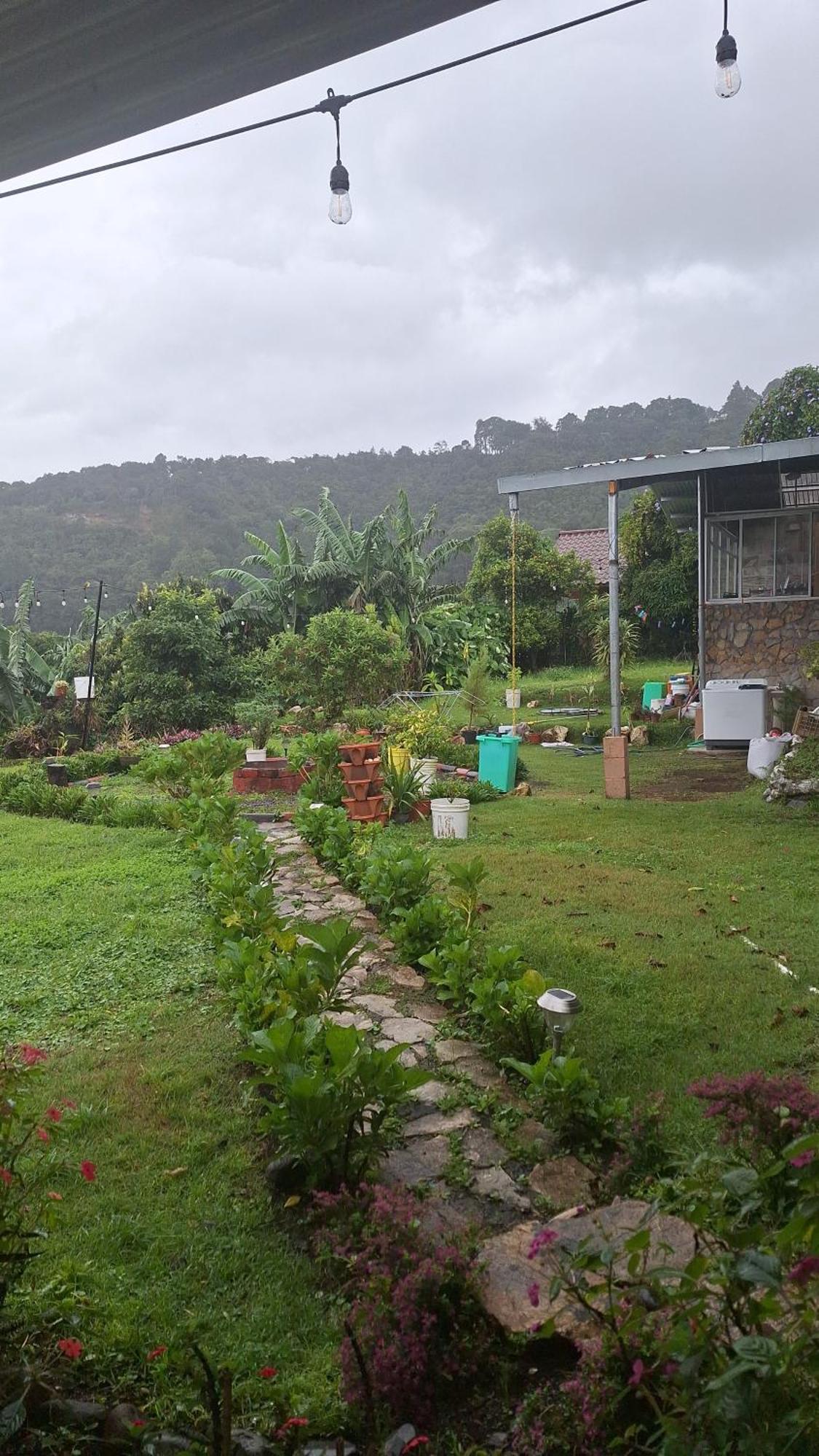 Hostal Vista Boquete Bajo Boquete Exterior photo